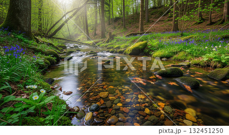 自然が残る山奥の清流の風景写真風 132451250
