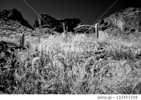 Monochrome Sonoran Desert Arizona Picacho Peak State Park Monochrome Sonoran Desert Arizona Picacho Peak State Park 132451509