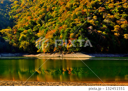 奥日光　初秋　西ノ湖の紅葉 132451551