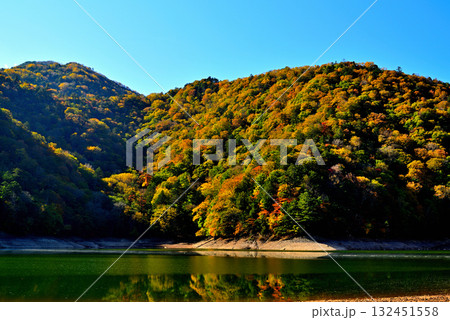 奥日光　初秋　西ノ湖の紅葉 132451558
