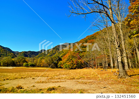 奥日光　初秋　西ノ湖の紅葉 132451560