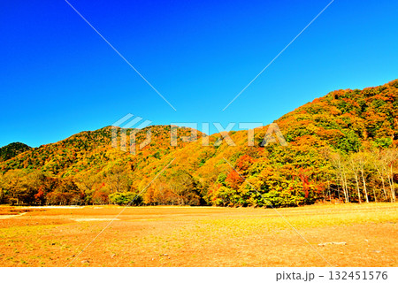 奥日光 初秋 西ノ湖の紅葉 奥日光 初秋 西ノ湖の紅葉 132451576