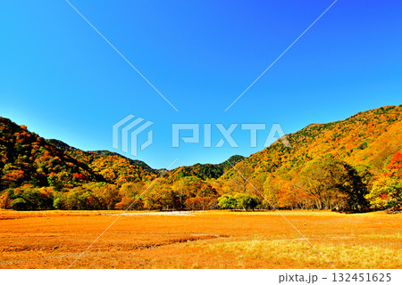 奥日光　初秋　西ノ湖の紅葉 132451625