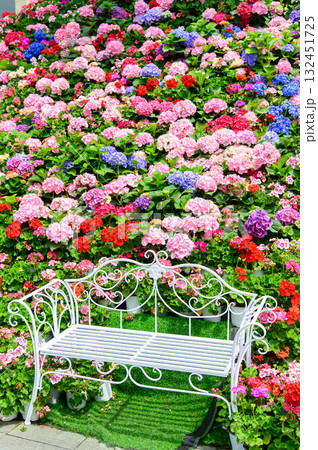カラフルな花に囲まれた美しい花壇の風景 132451725