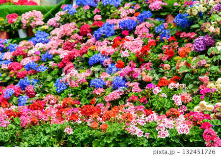 カラフルな花に囲まれた美しい花壇の風景 132451726