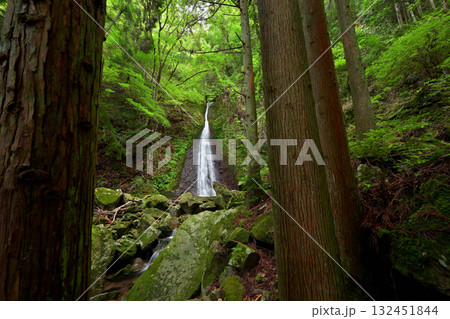 オウネン滝(兵庫県神崎郡) オウネン滝(兵庫県神崎郡) 132451844
