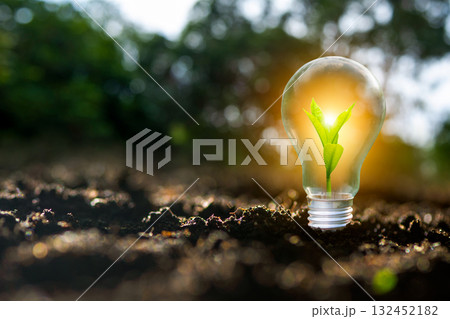 Renewable energy concept Earth Day or environment protection Hands protect forests that grow on the ground and help save the world. 132452182