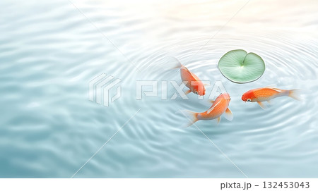Tranquil Scene of Goldfish Swimming Around a Water Lily on Serene Water Surface 132453043