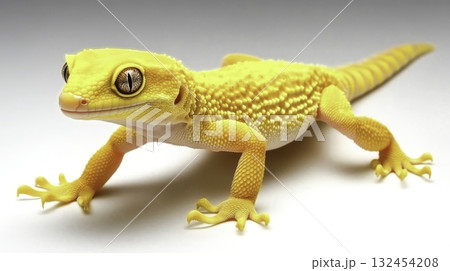Bright Yellow Gecko with Detailed Texture Posing on Light Background 132454208