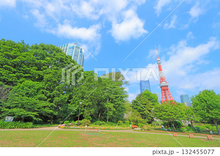 東京都港区、東京タワーと新緑の風景 132455077