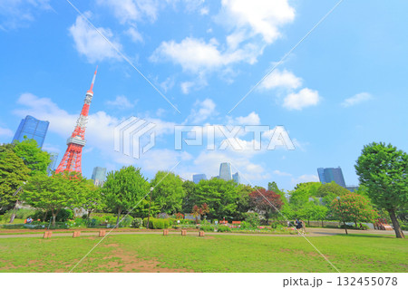 東京都港区、東京タワーと新緑の風景 132455078