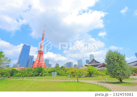 東京都港区、東京タワーと新緑の風景 132455081