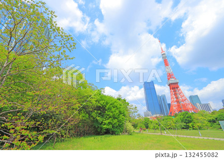 東京都港区、東京タワーと新緑の風景 東京都港区、東京タワーと新緑の風景 132455082