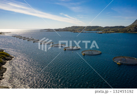 Farm salmon fishing in Norway. Norway is the biggest producer of farmed salmon in the world. Farm salmon fishing in Norway. Norway is the biggest producer of farmed salmon in the world. 132455192