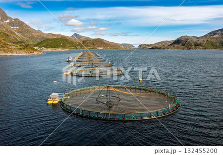 Farm salmon fishing in Norway. Norway is the biggest producer of farmed salmon in the world. Farm salmon fishing in Norway. Norway is the biggest producer of farmed salmon in the world. 132455200