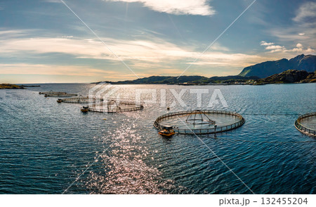 Farm salmon fishing in Norway. Norway is the biggest producer of farmed salmon in the world. Farm salmon fishing in Norway. Norway is the biggest producer of farmed salmon in the world. 132455204