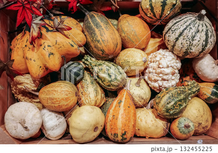 Pile pumpkins of various colors and sizes. 132455225