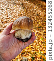 Boletus mushroom in the hand 132455268