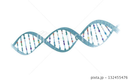 DNA Double Helix Molecular Structure 132455476