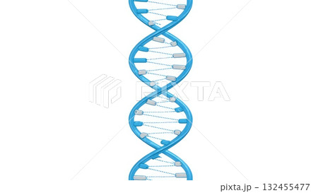 DNA Double Helix Molecular Structure 132455477