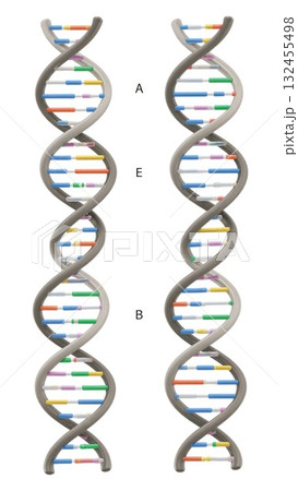 Normal DNA vs Point Mutation Comparisonのイラスト素材 [132455498] - PIXTA