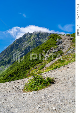北岳の小太郎尾根分岐から見る北岳の山頂部と肩 南アルプスの北岳登山 北岳の小太郎尾根分岐から見る北岳の山頂部と肩 南アルプスの北岳登山 132455803