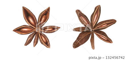 Aromatic dried badian spice with seeds clip art watercolor illustration on isolated background. Star Anise pod. Baking ingredient for cooking winter recipes, menu, spice stores, Christmas drinks. 132456742