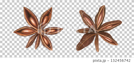 Aromatic dried badian spice with seeds clip art watercolor illustration on isolated background. Star Anise pod. Baking ingredient for cooking winter recipes, menu, spice stores, Christmas drinks. 132456742