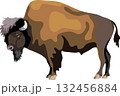 Bison Mammal Animal 132456884