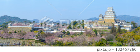 イーグレひめじ展望台からパノラマ 7千500万画素 平成の大修理 姫路城と桜 2015年3月31日 132457260