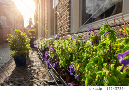 Sunlit Dutch Ootmarsum street lined with blooming flowers and green leaves along warm brick houses. Afternoon light and cobblestone texture create calm atmosphere of summer charm and timeless beauty 132457264