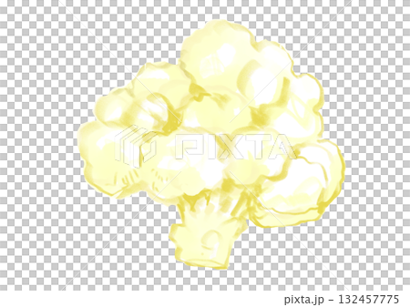 Hand-drawn watercolor illustration of freshly picked and delicious cauliflower 132457775
