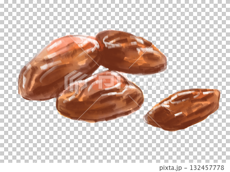 Hand-drawn watercolor illustration of nutritious and delicious dried dates Hand-drawn watercolor illustration of nutritious and delicious dried dates 132457778