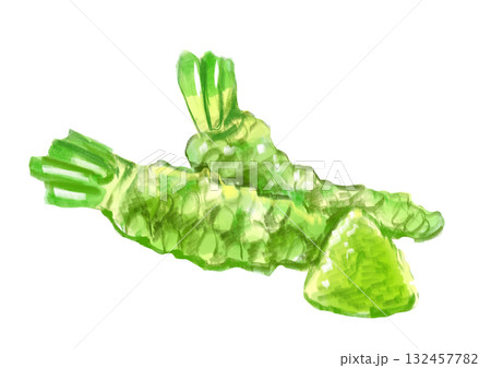 採れたてで新鮮で美味しそうなわさびとおろしたわさびのの手描き水彩イラスト 132457782