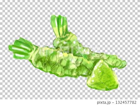 採れたてで新鮮で美味しそうなわさびとおろしたわさびのの手描き水彩イラスト 132457782