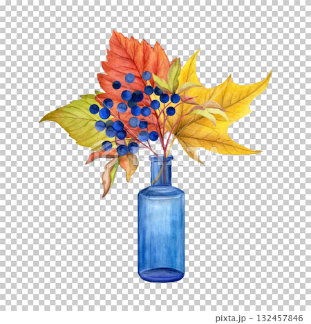 Herbarium composition in a blue bottle. Watercolor of colorful autumn leaves and wild grape in a glass bottle isolated on white background. Good for postcards, invitations, greeting cards. 132457846