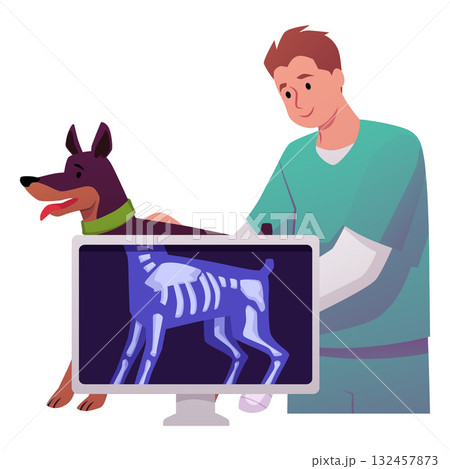 A male veterinarian doctor is checking an x-ray of a dog in Vet clinic, vector flat veterinarian diagnostics health care 132457873