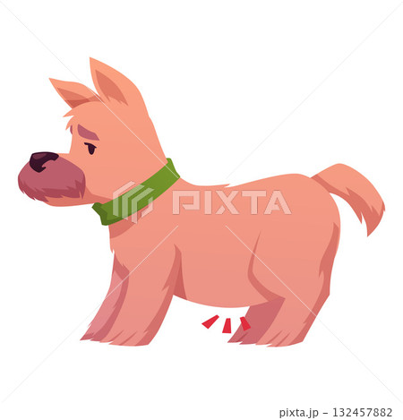 A sad puppy with a green collar and abdominal pain, a sick animal, side view. A sad puppy with a green collar and abdominal pain, a sick animal, side view. 132457882