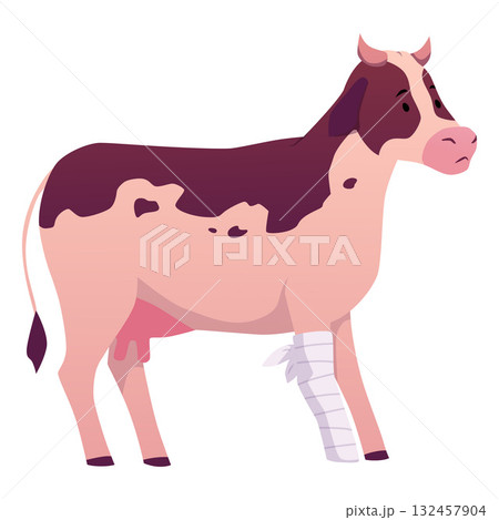 A cartoon cow with a bandaged leg, a sick animal, side view. A cartoon cow with a bandaged leg, a sick animal, side view. 132457904