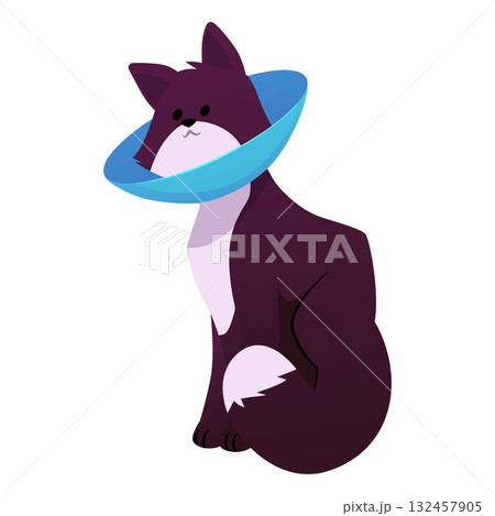 Cat in cone collar, vector dark color kitten wrapped in Elizabethan collar, protection from licking for pet, veterinary Cat in cone collar, vector dark color kitten wrapped in Elizabethan collar, protection from licking for pet, veterinary 132457905