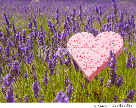 Lavender field and heart shaped pink sponge. Spa aromatherapy and cosmetology. Lavender field and heart shaped pink sponge. Spa aromatherapy and cosmetology. 132458358