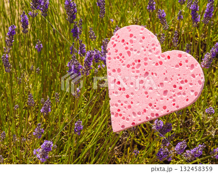 Lavender field and heart shaped pink sponge. Spa aromatherapy and cosmetology. Lavender field and heart shaped pink sponge. Spa aromatherapy and cosmetology. 132458359