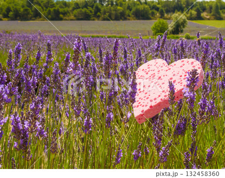 Lavender field and heart shaped pink sponge. Spa aromatherapy and cosmetology. Lavender field and heart shaped pink sponge. Spa aromatherapy and cosmetology. 132458360
