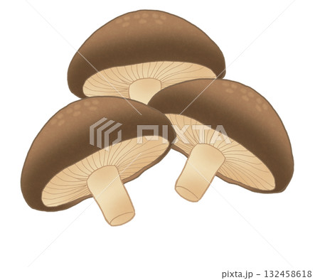 3つのしいたけのイラスト 132458618