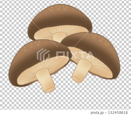 三幅香菇插圖 132458618