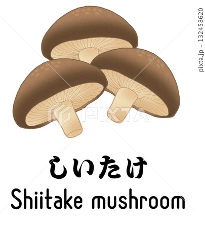 英語と日本語の文字が入った3つのしいたけのイラスト 英語と日本語の文字が入った3つのしいたけのイラスト 132458620