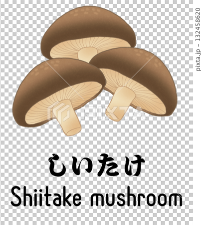 三種香菇的插圖，配有英文和日文文本 132458620