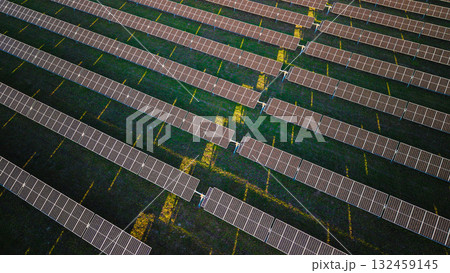 Rows of solar panels on a green field viewed from above, creating a geometric pattern under the sunlight. 132459145