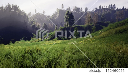 Vibrant green meadows stretch across gently rolling hills, framed by shadowy mountains under a soft morning light. Natures tranquility invites exploration and adventure. 132460063