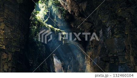 Sunlight streams through a rocky cave, illuminating vibrant greenery while creating a mystical atmosphere. Nature thrives in this serene underground environment. Sunlight streams through a rocky cave, illuminating vibrant greenery while creating a mystical atmosphere. Nature thrives in this serene underground environment. 132460104